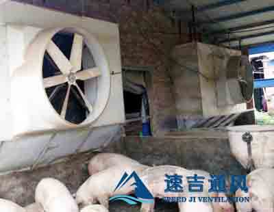 养猪厂专用负压风机配水帘降温/养殖风机尽在苏州速吉